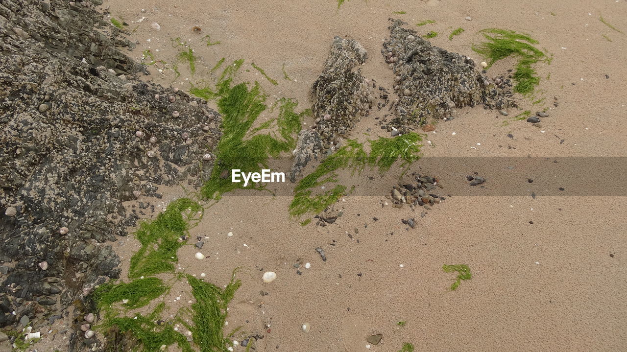 HIGH ANGLE VIEW OF SANDY BEACH