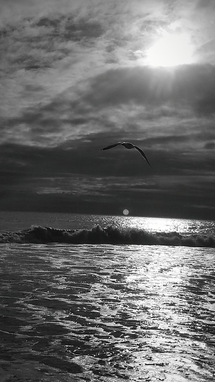 BIRD FLYING OVER SEA AGAINST SKY