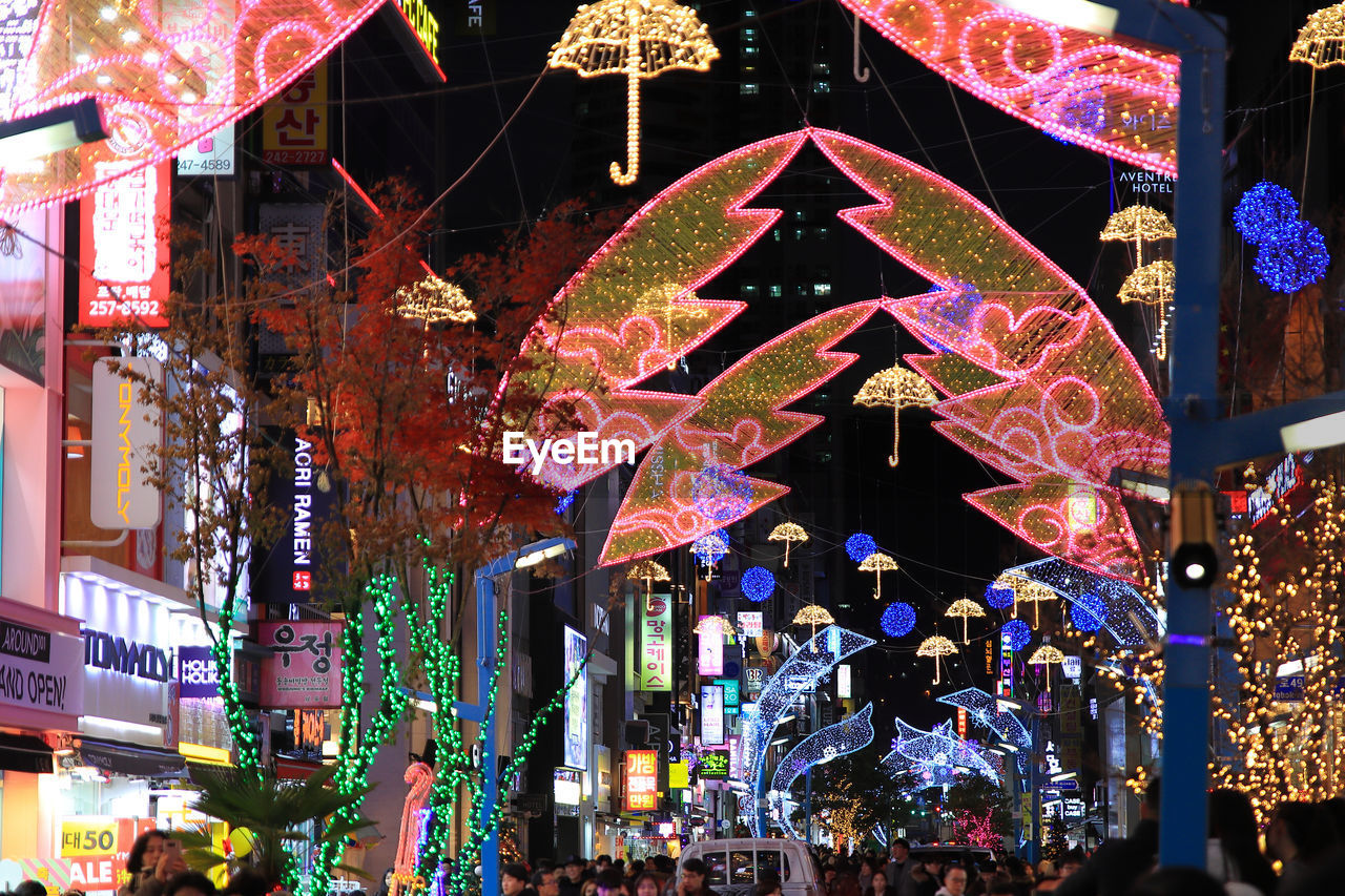 ILLUMINATED CHRISTMAS TREE AT NIGHT