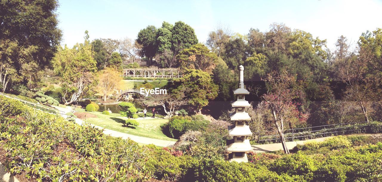 VIEW OF TREES AND PLANTS AGAINST SKY