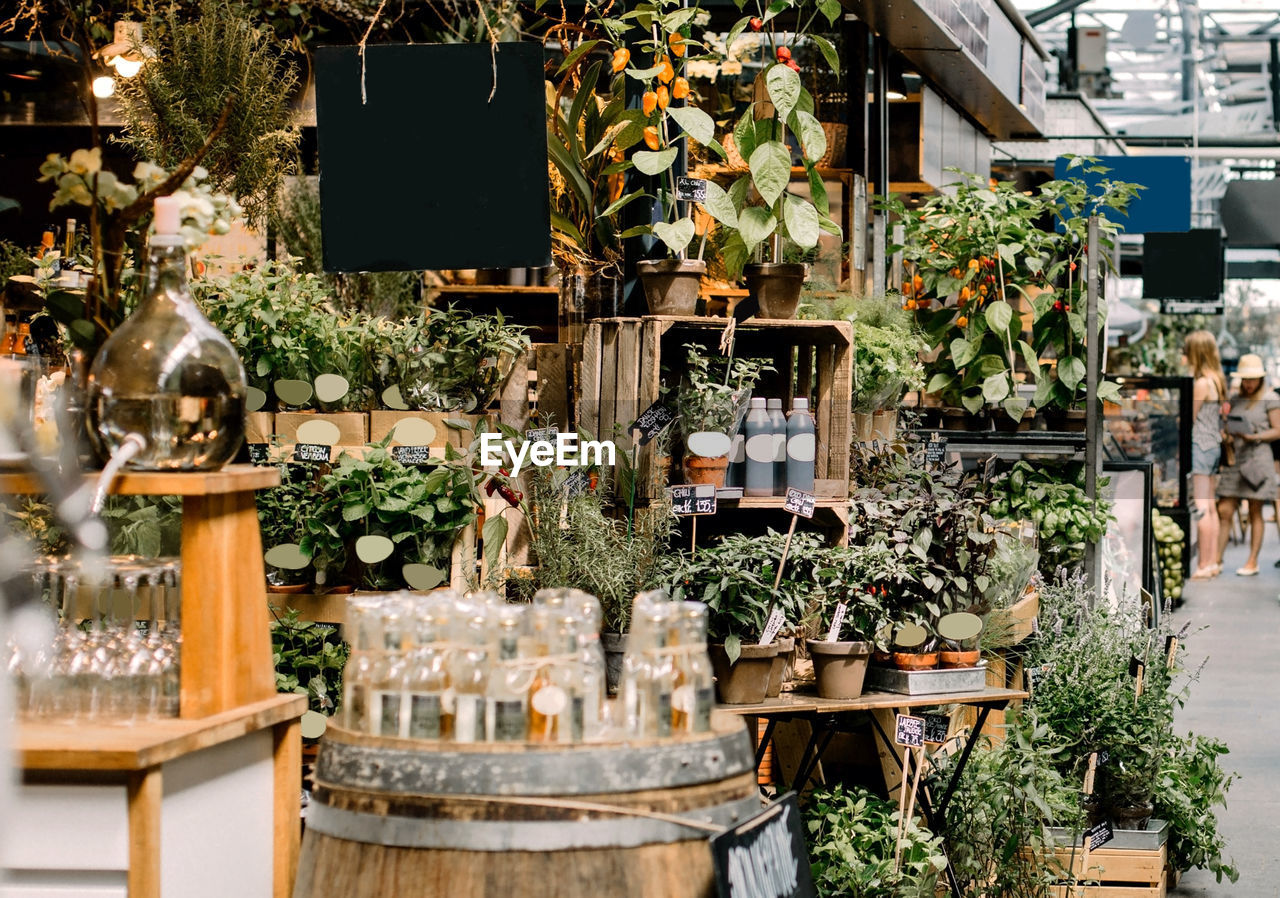 Retail display of fresh herbs and gifts at a market in copenhagen, denmark 