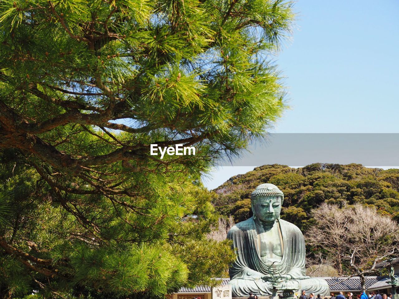 LOW ANGLE VIEW OF STATUE AGAINST TREES AND SKY