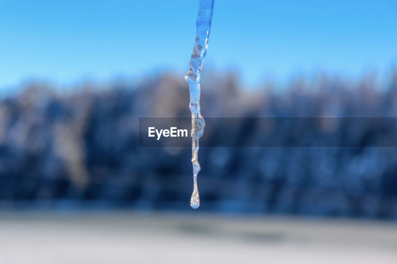 CLOSE-UP OF ICE CRYSTALS AGAINST PLANTS