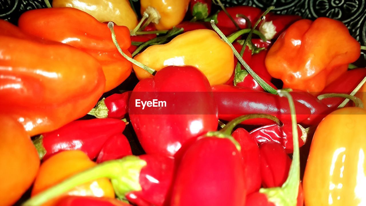 FULL FRAME SHOT OF FRESH TOMATOES