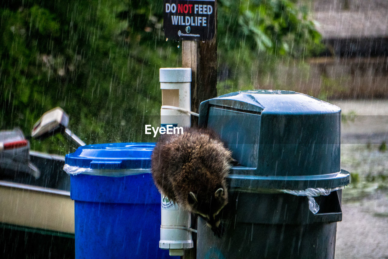 CLOSE-UP OF GARBAGE ON TABLE BY TREE