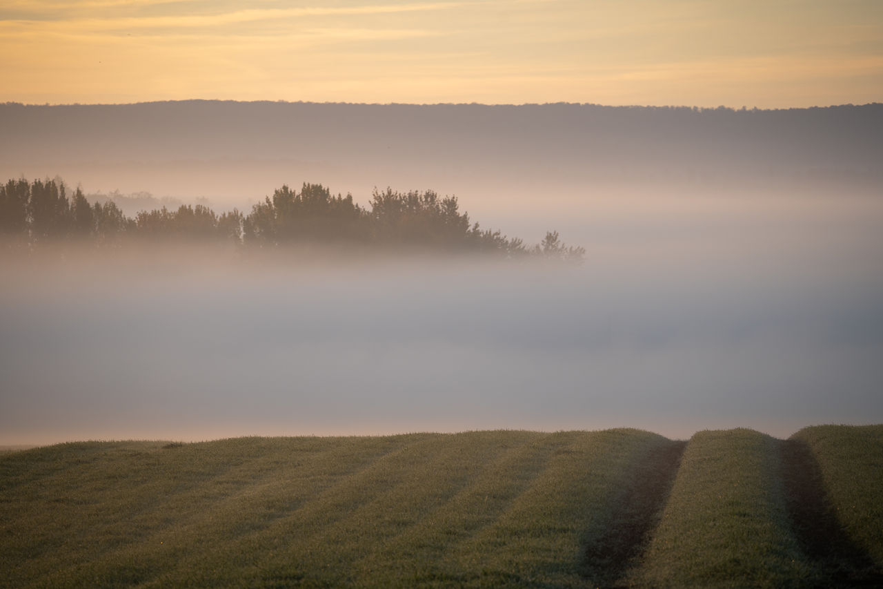 environment, landscape, fog, morning, mist, nature, land, scenics - nature, sky, plant, beauty in nature, sunrise, dawn, tranquility, horizon, rural scene, tree, tranquil scene, cloud, sun, field, hill, sunlight, agriculture, forest, twilight, no people, water, idyllic, grass, atmospheric mood, outdoors, social issues, non-urban scene, travel, summer, travel destinations, autumn, freshness, sunbeam, lake, tourism, orange color, gold, plain, meadow, cloudscape, woodland, farm, dramatic sky, horizon over land, reflection, rural area, multi colored, crop, light - natural phenomenon