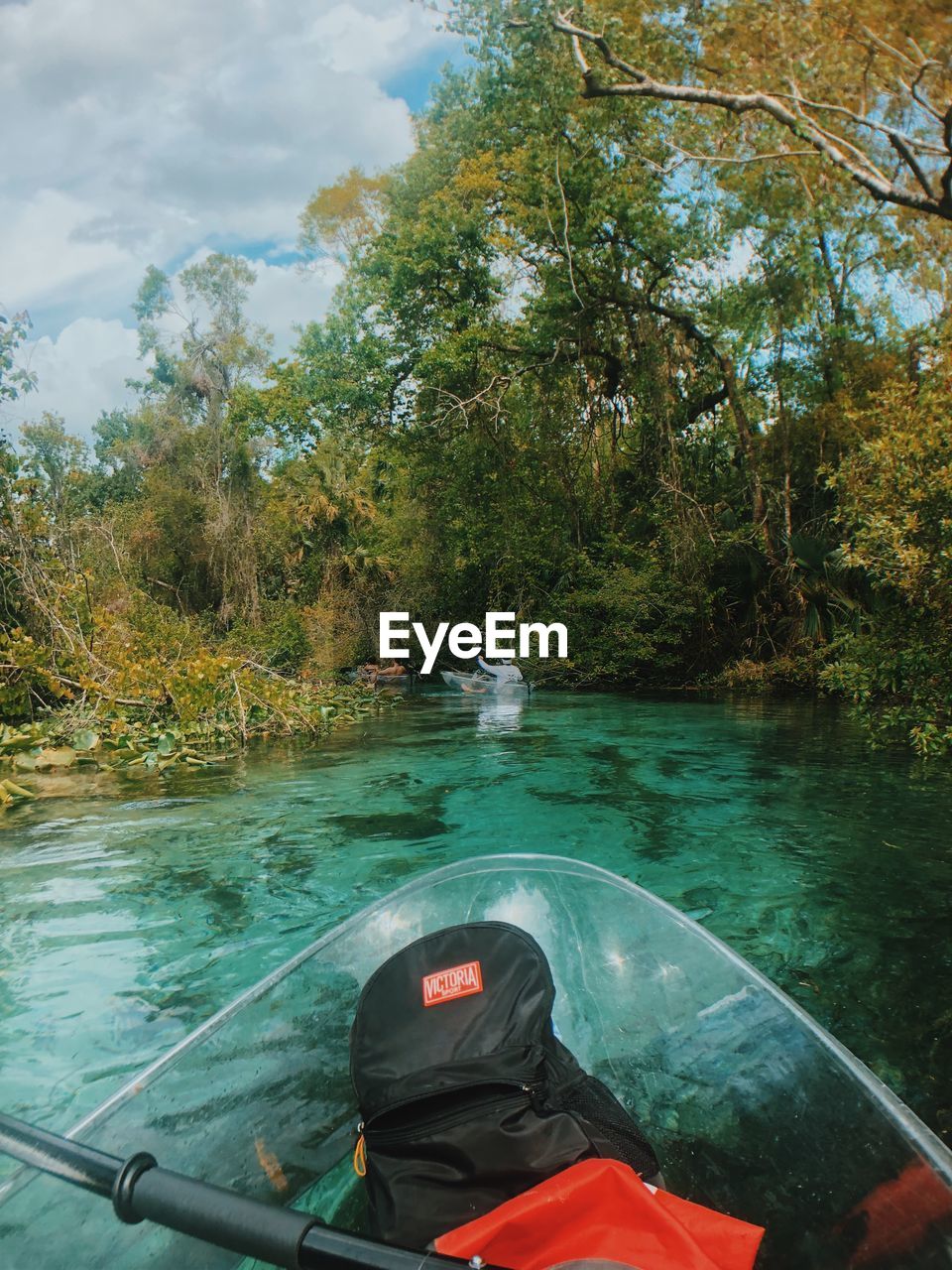 MAN ON BOAT AGAINST TREES