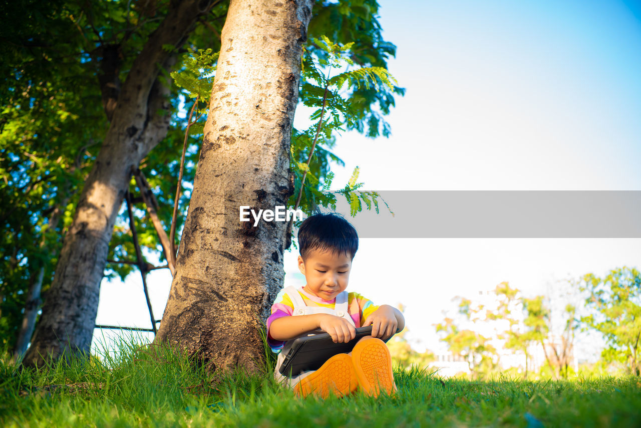 Boy sitting on tree trunk