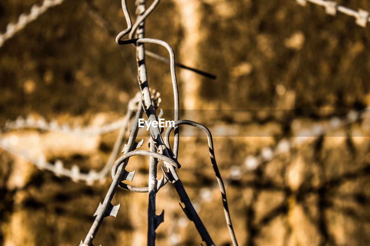 close-up of barbed wire
