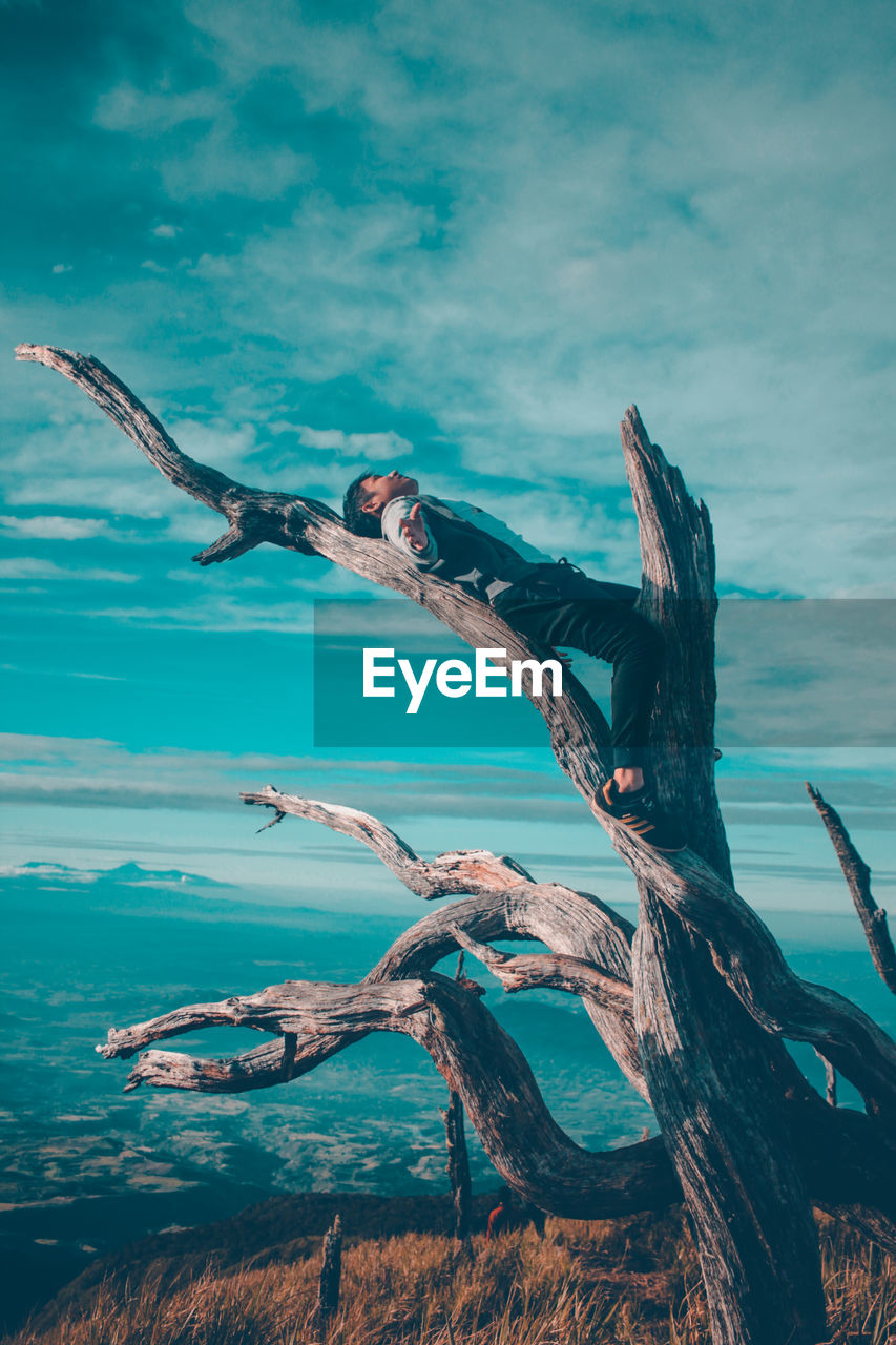 Young man lying on tree trunk against sky