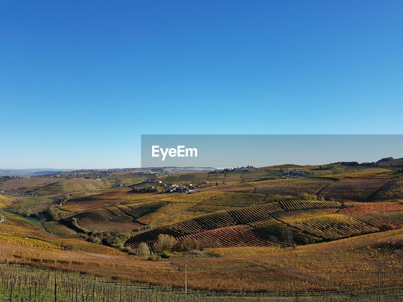 Scenic view of agricultural landscape against clear blue sky