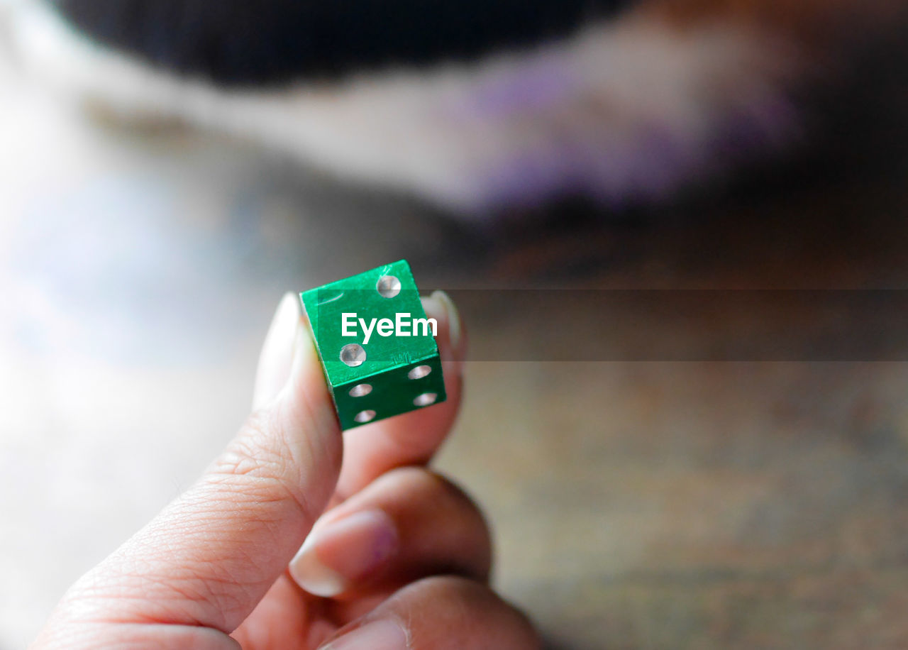 CLOSE-UP OF PERSON HOLDING CAMERA AGAINST BLURRED BACKGROUND