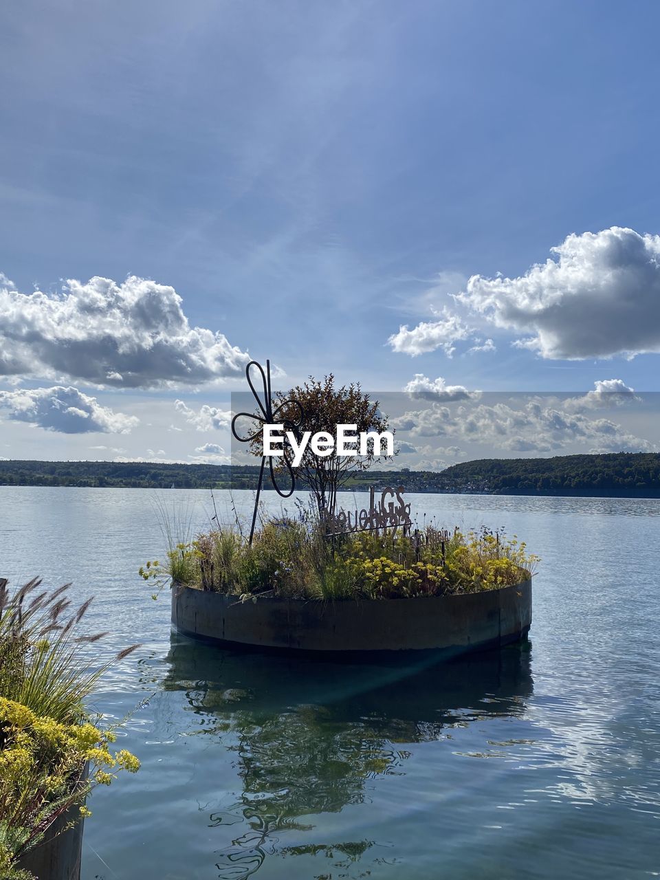 PLANTS BY LAKE AGAINST SKY