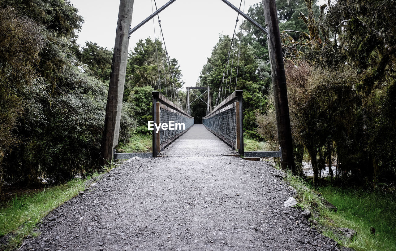 FOOTBRIDGE AGAINST TREES