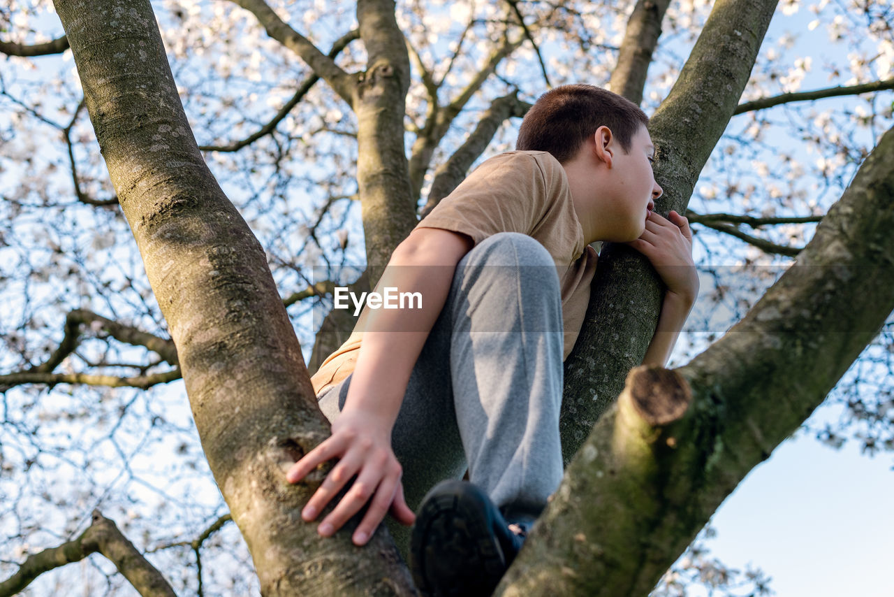 A teenage boy sitting on a branch of a blooming magnolia tree.