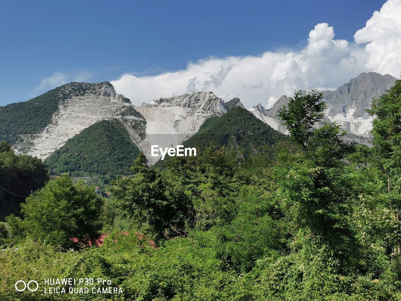 PANORAMIC VIEW OF TREES ON MOUNTAIN AGAINST SKY