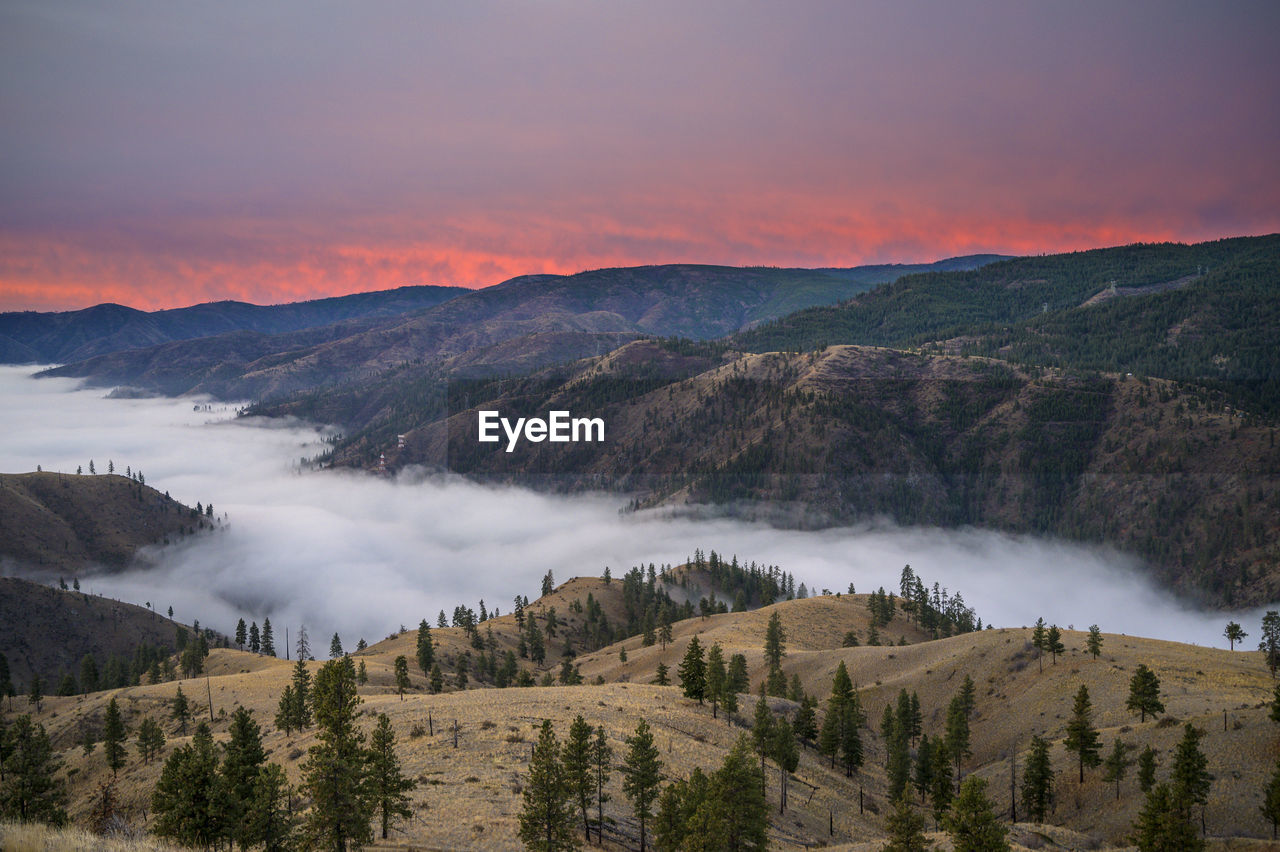 Pink sunrise in the mountains with clouds in the valley