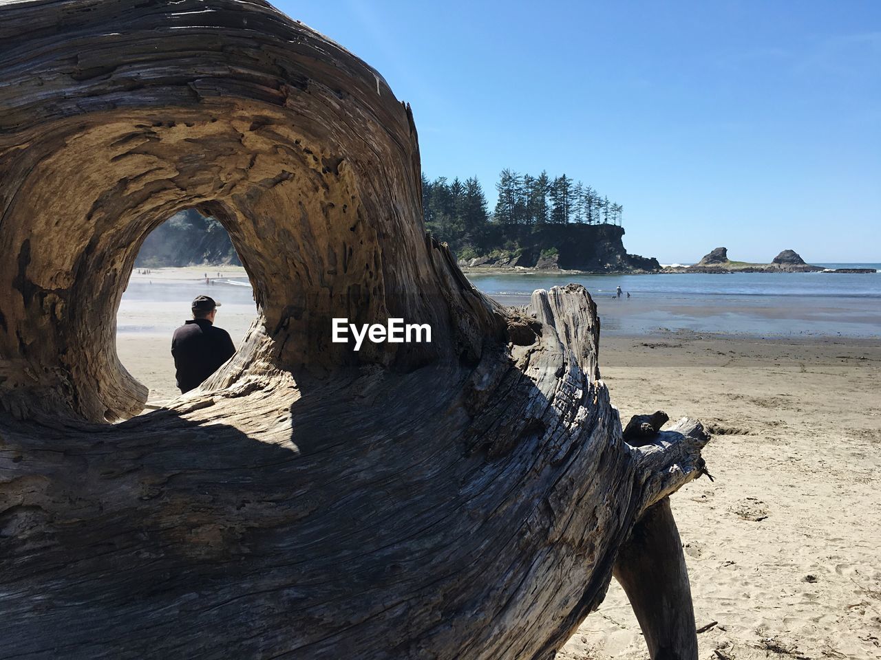 Rear view of man sitting at beach seen through driftwood