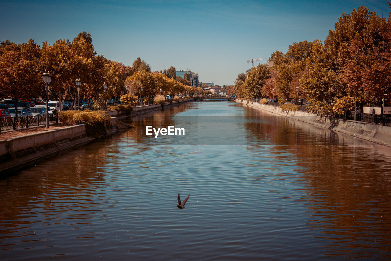 View of birds in lake