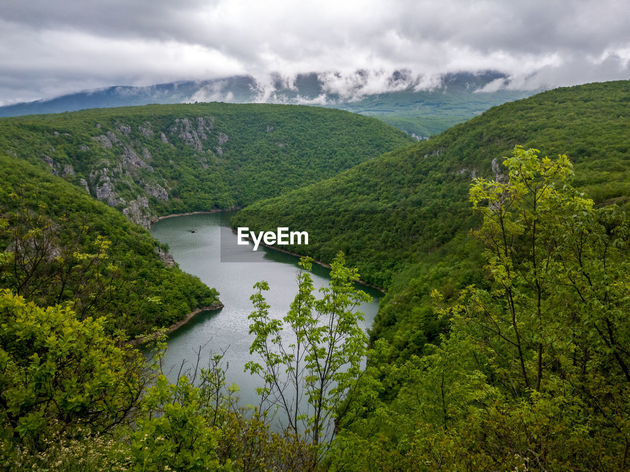Scenic view of river amidst trees against sky