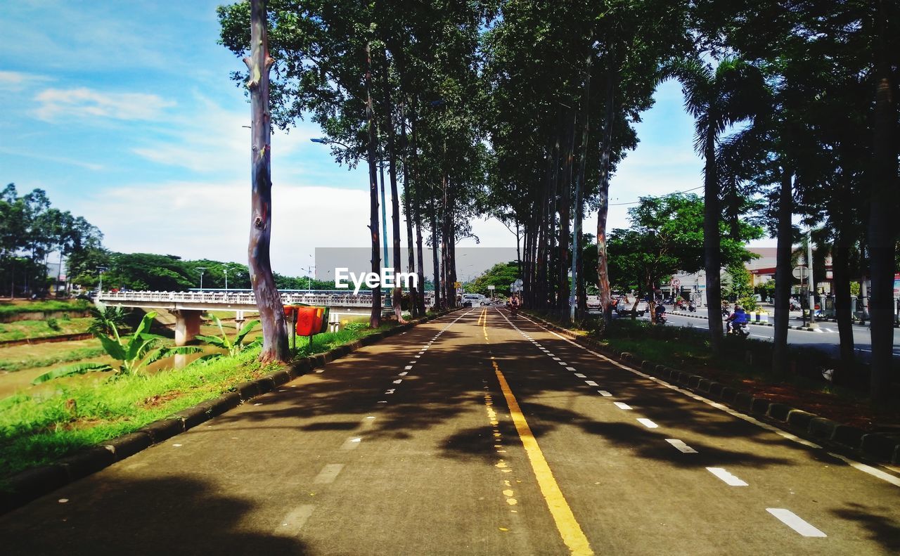 VIEW OF ROAD ALONG TREES