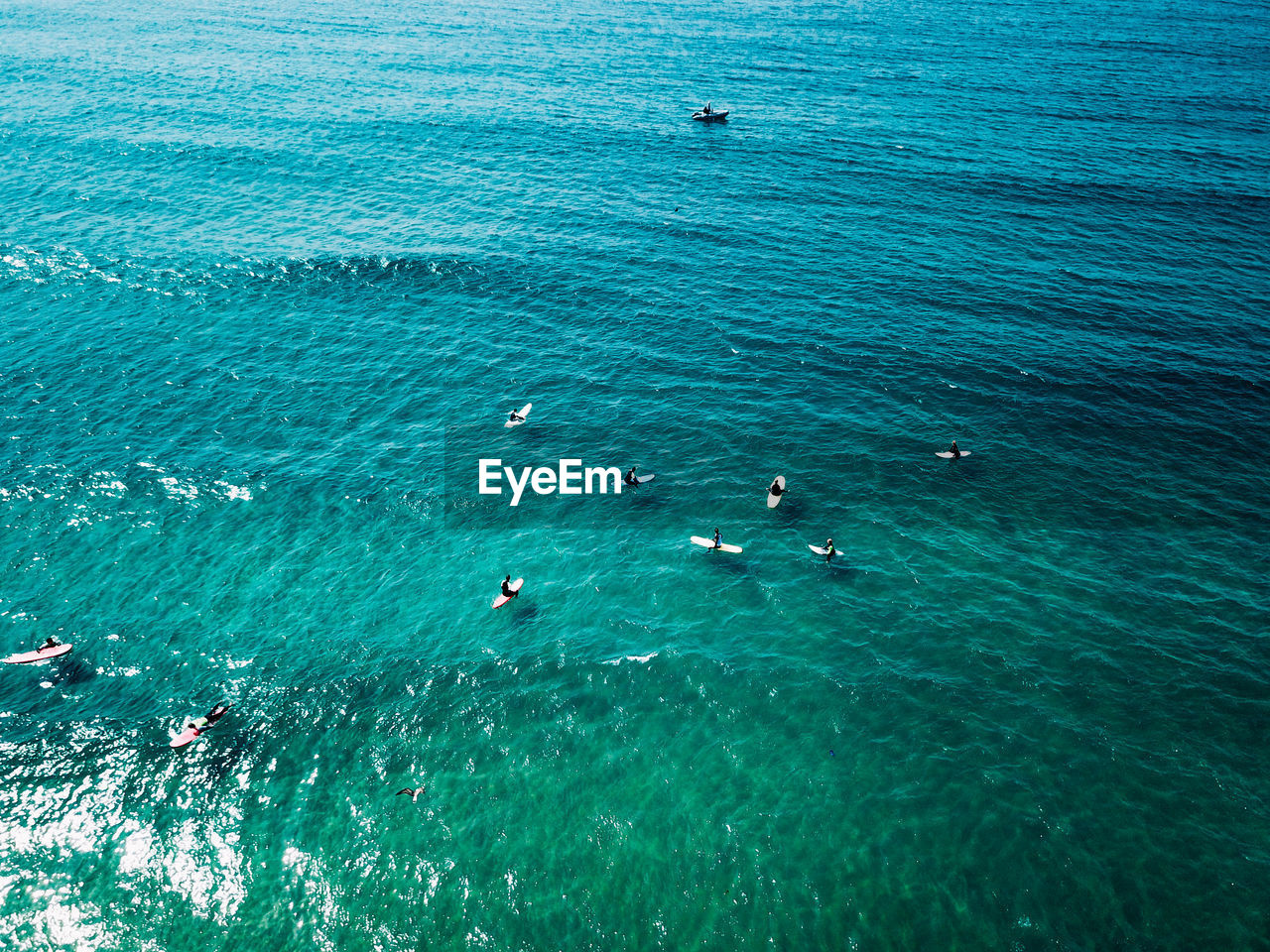 High angle view of people surfing at beach