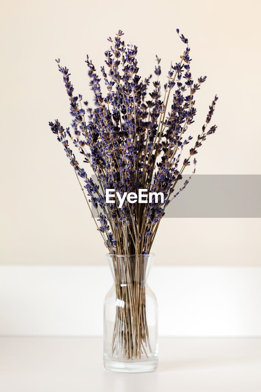 Lavender bouquet in a glass vase. minimalism interior decoration.