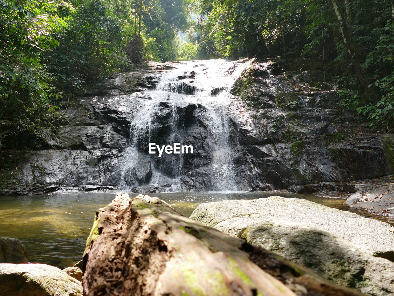 WATERFALL IN FOREST AGAINST SKY