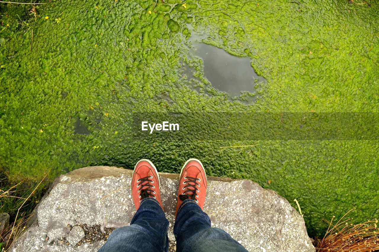 Low section of person standing on rock in swamp