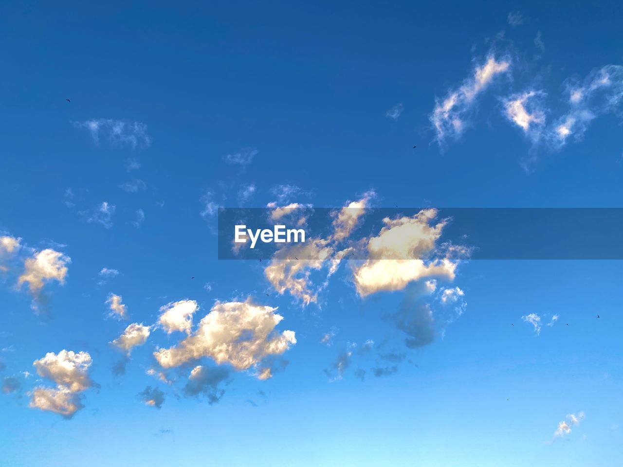 LOW ANGLE VIEW OF BLUE SKY