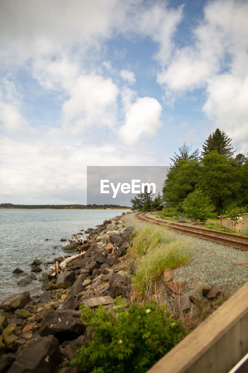 SCENIC VIEW OF SEA BY TREES AGAINST SKY