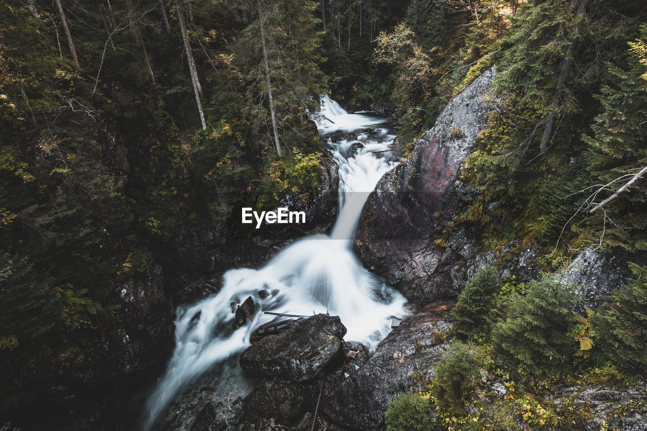 Scenic view of waterfall in forest