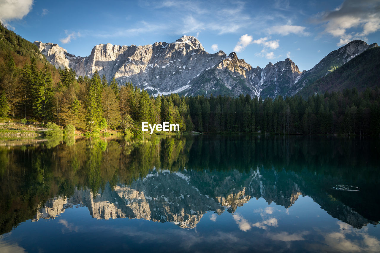 Reflection of trees in fusine lake
