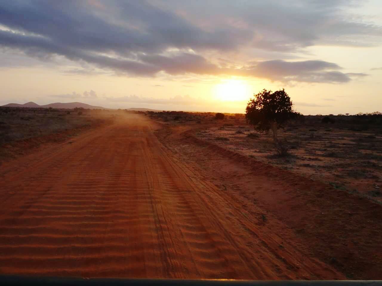 SUNSET OVER FIELD