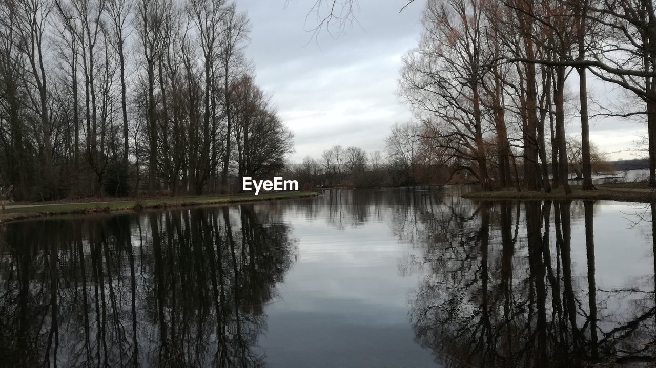 REFLECTION OF TREES IN LAKE