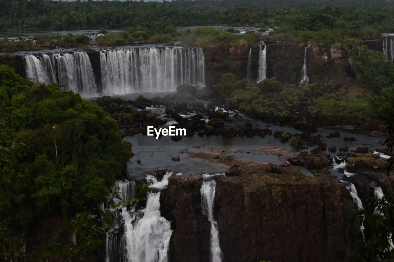 Scenic view of waterfall in forest