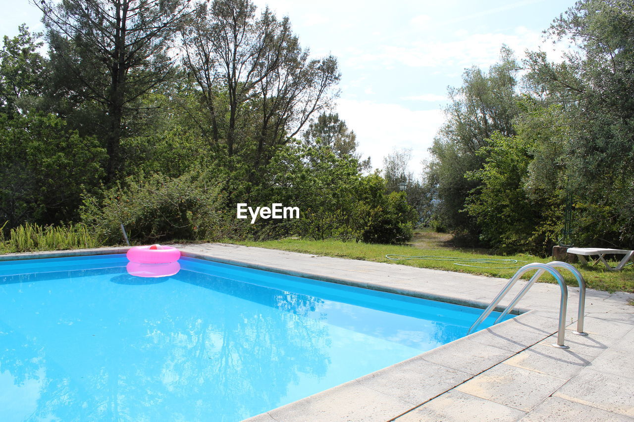 SWIMMING POOL AGAINST TREES AND PLANTS