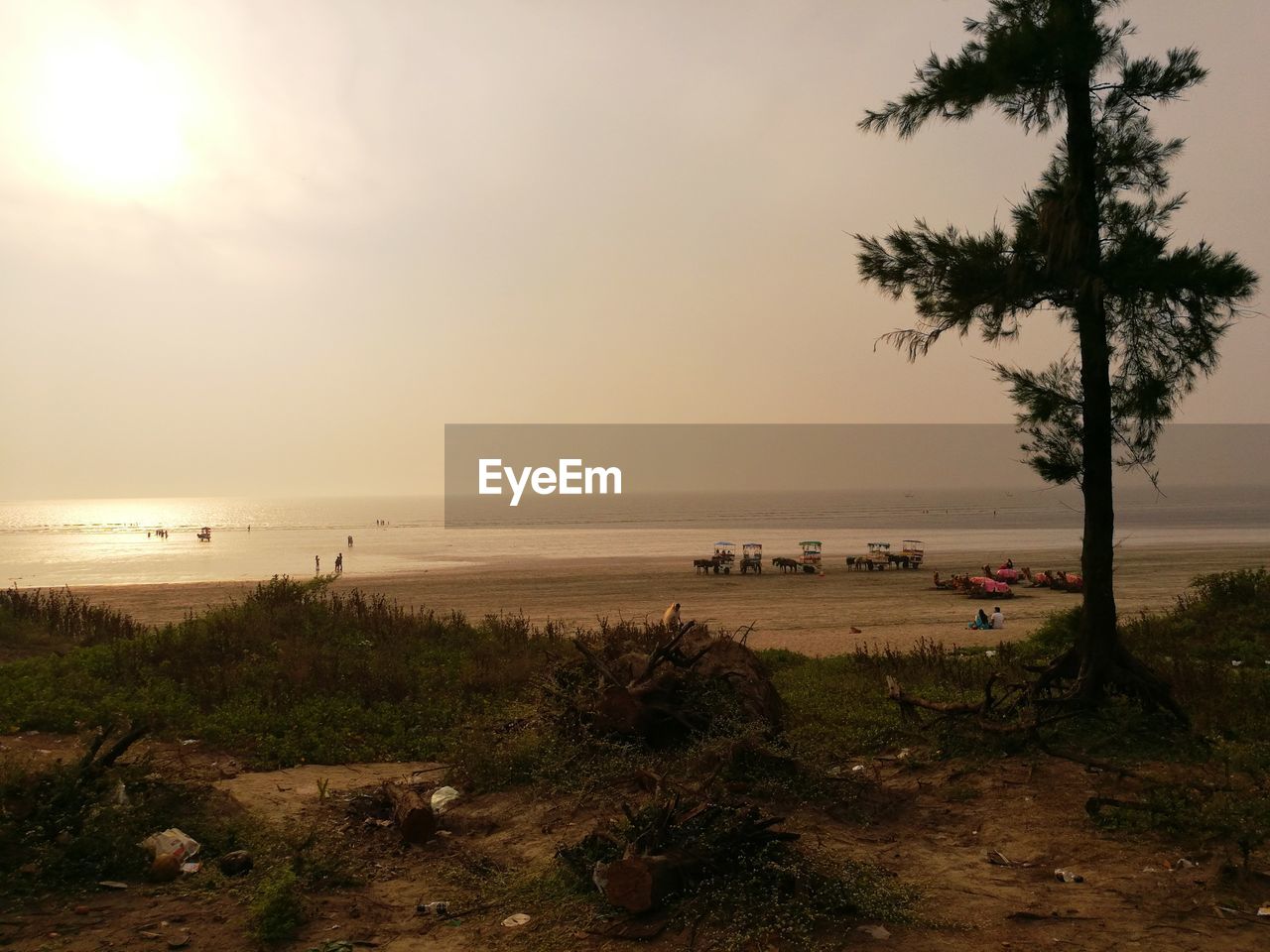 SCENIC VIEW OF BEACH DURING SUNSET