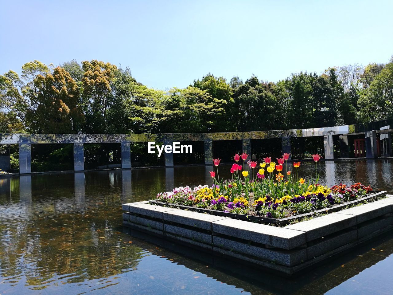 SWIMMING POOL IN PARK AGAINST SKY