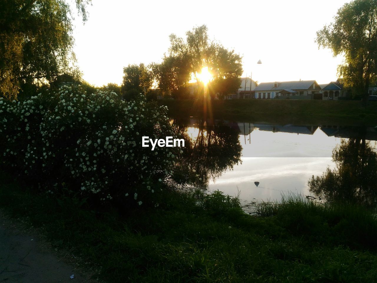 SCENIC VIEW OF RIVER BY TREES AGAINST SKY