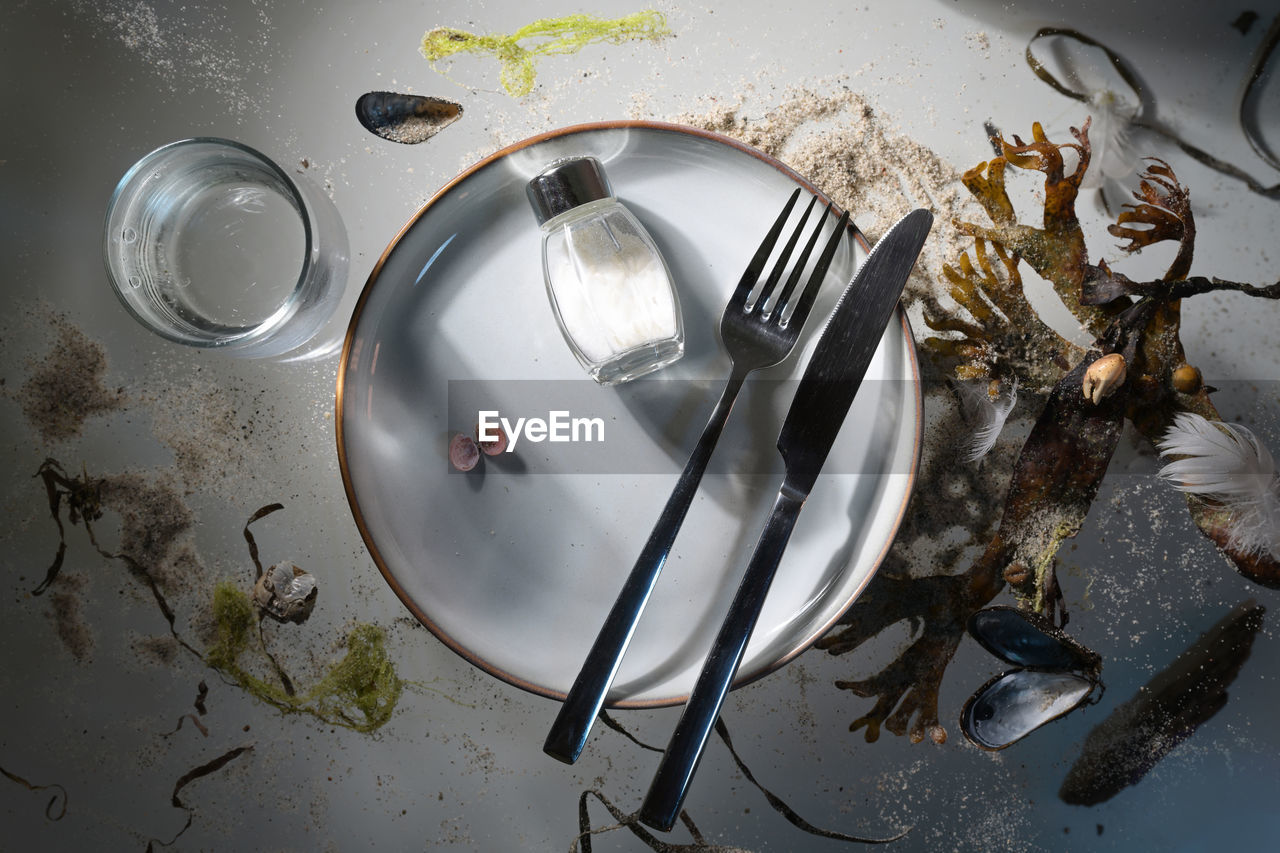 kitchen utensil, household equipment, eating utensil, fork, high angle view, indoors, plate, food and drink, no people, food, directly above, water, tableware, table, dirt, still life, still life photography, glass