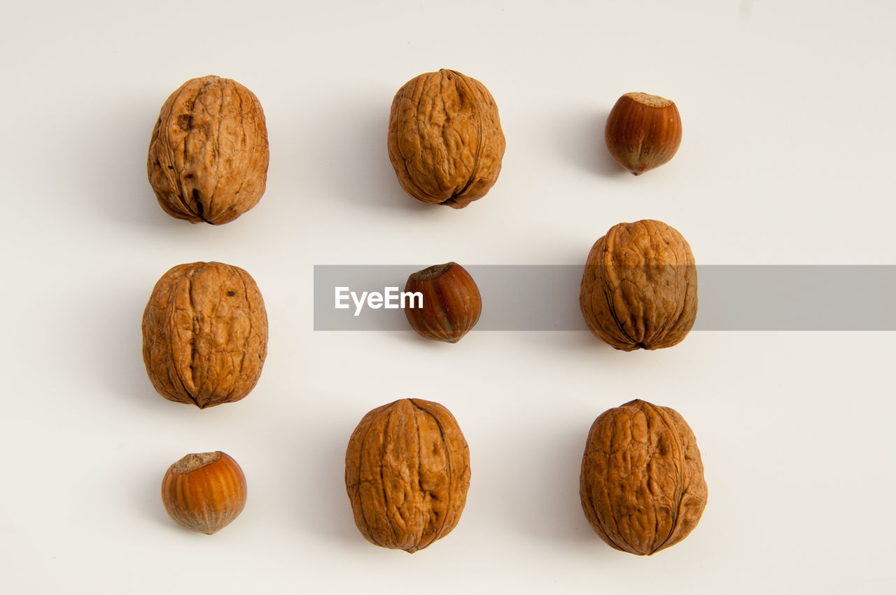 High angle view of walnuts and hazelnuts on white background