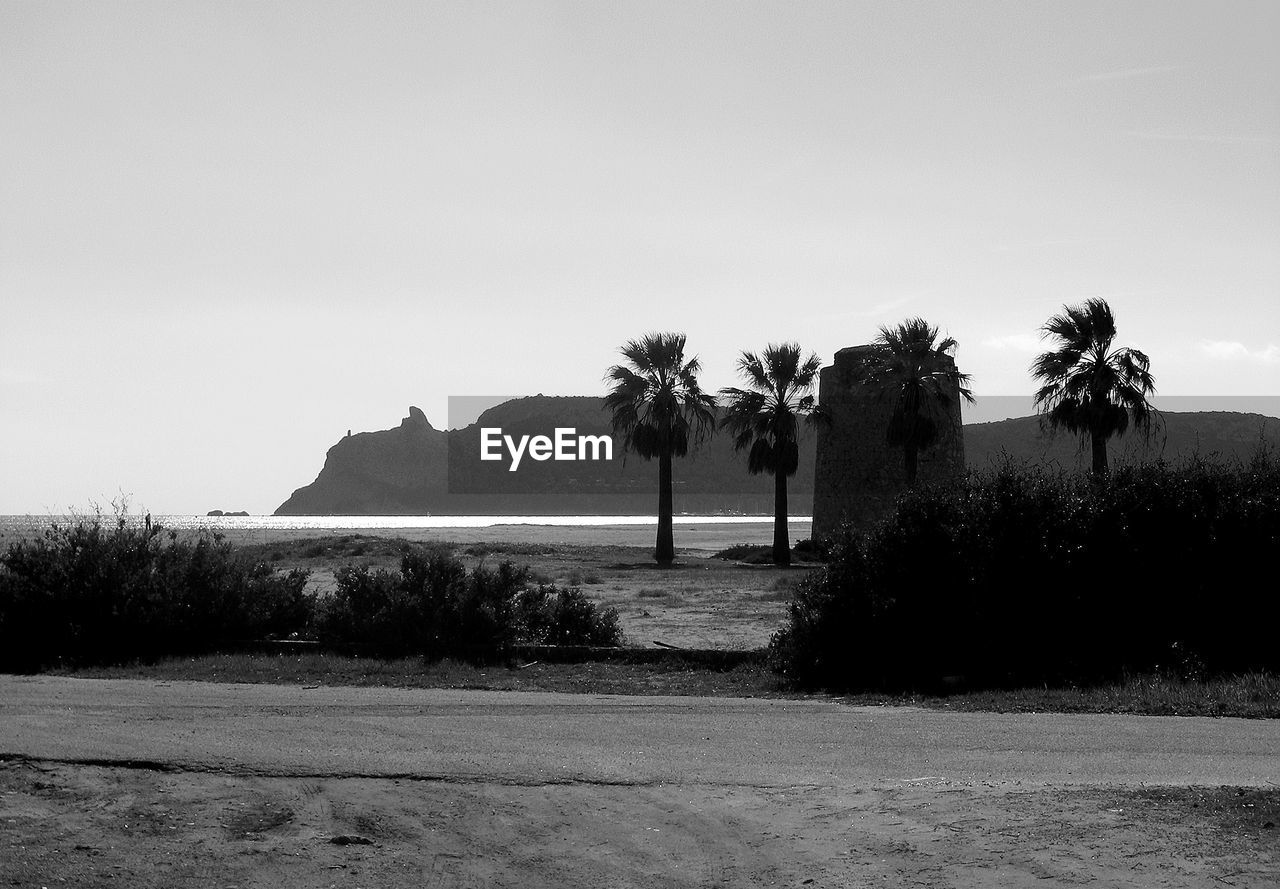 Palm trees by sea against clear sky