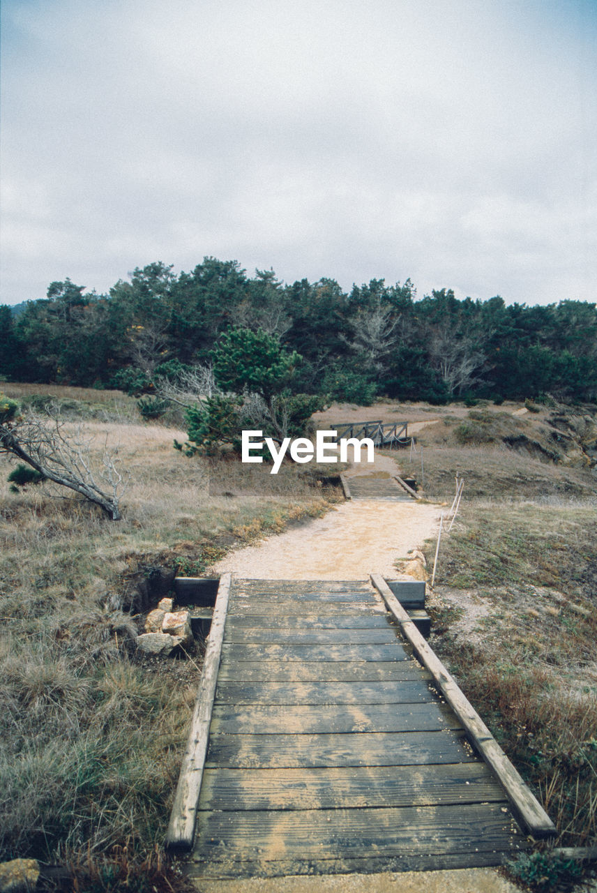 Boardwalk on grassy field against cloudy sky