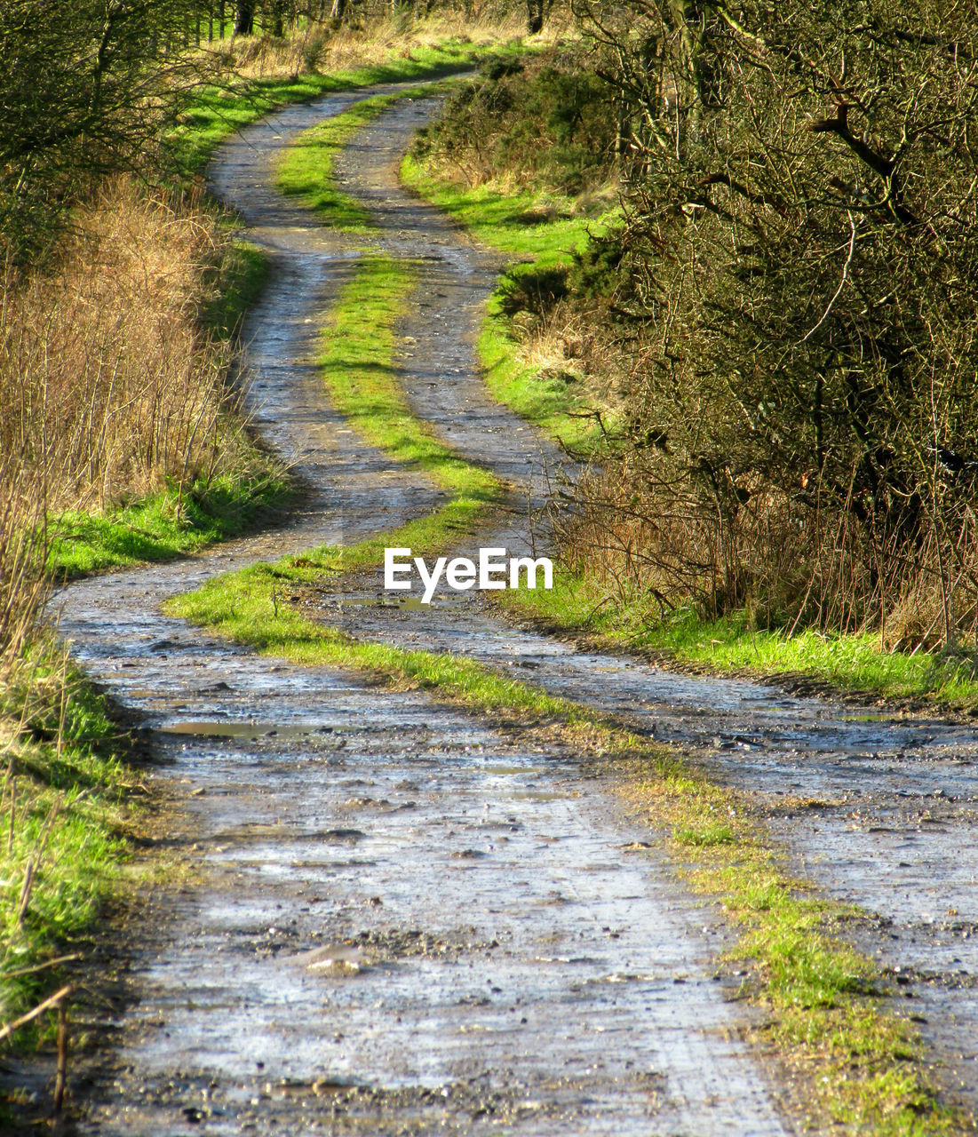 Following the ancient trackway