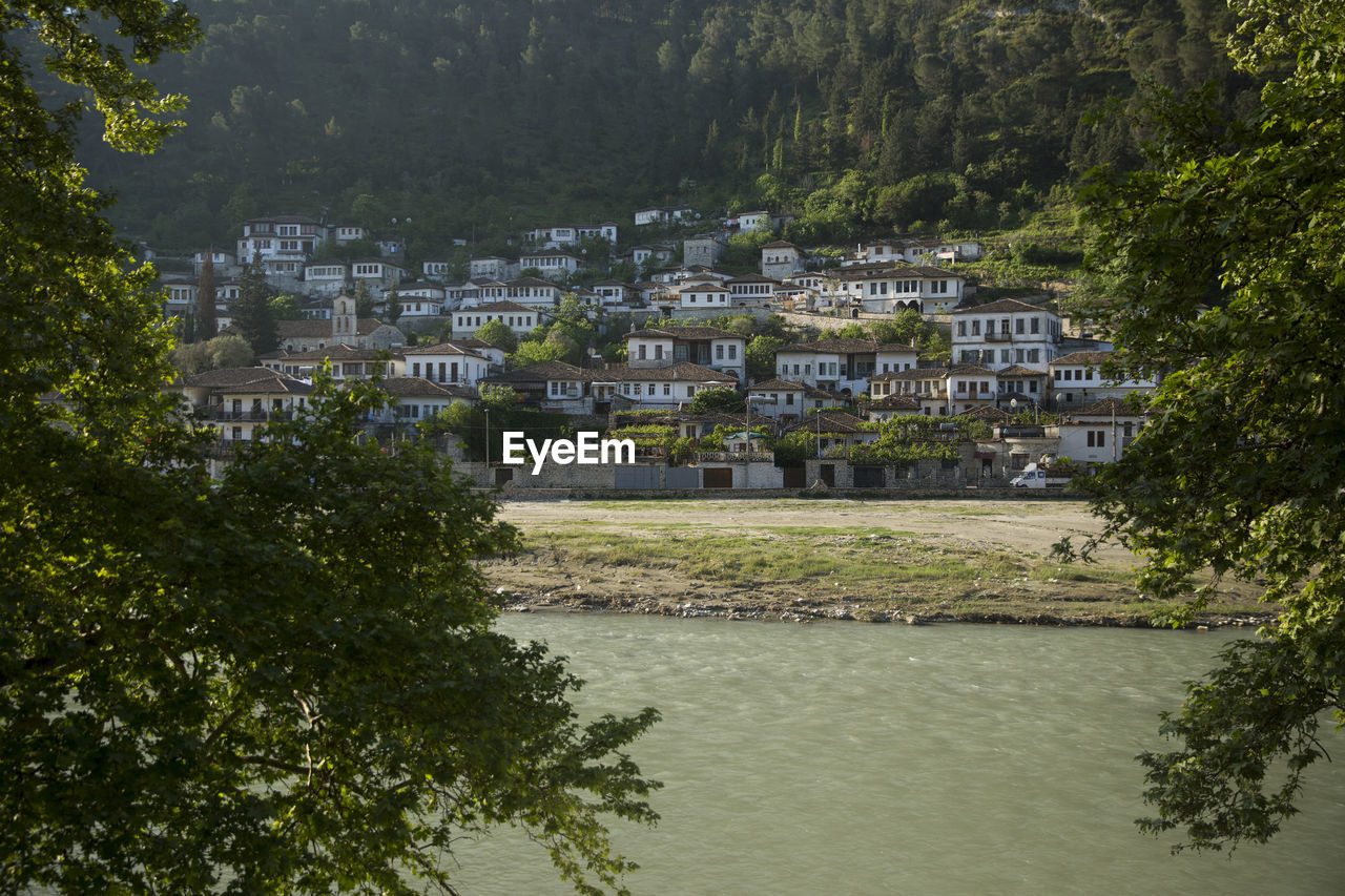 River amidst trees and buildings in city