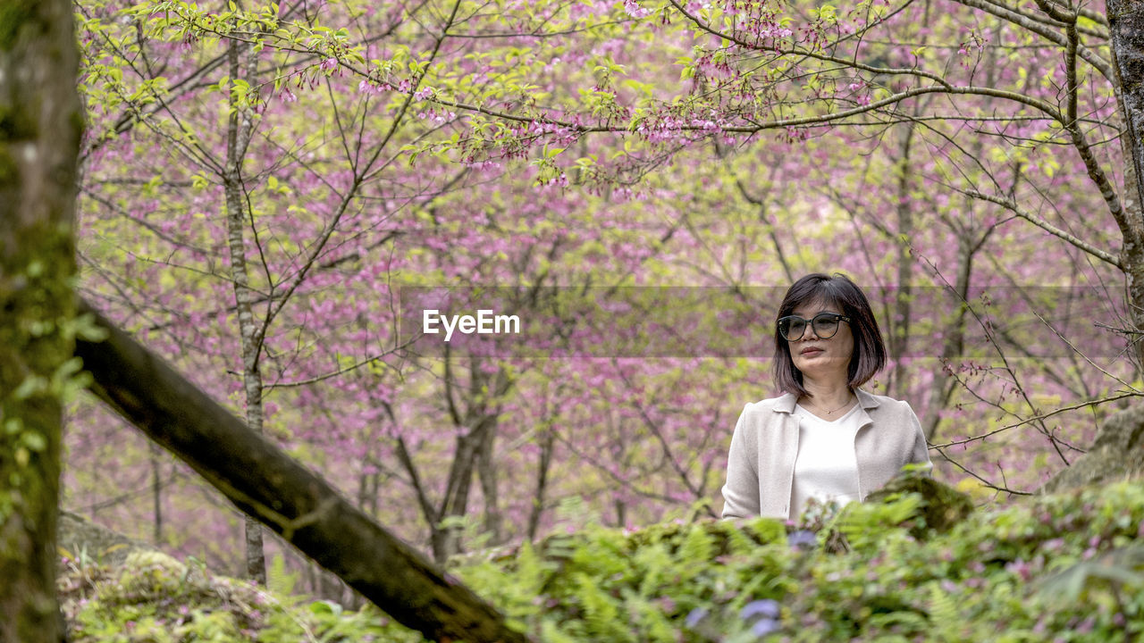Portrait of woman with pink cherry blossoms in spring
