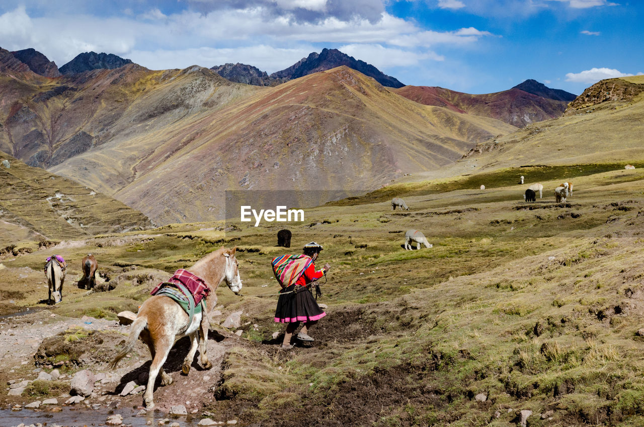 Side view of woman with horse walking on mountain against sky