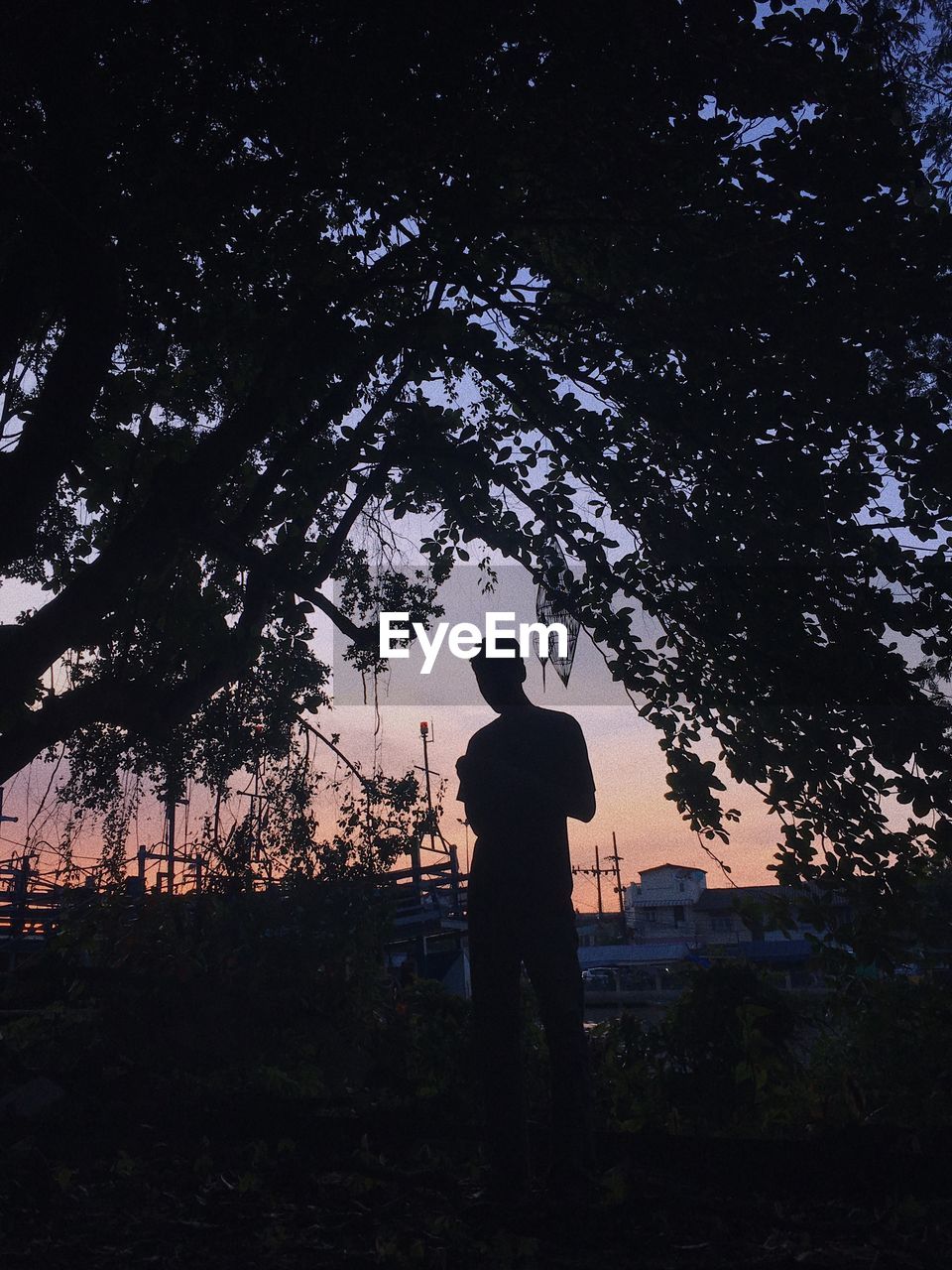 Silhouette man standing by tree on field against sky