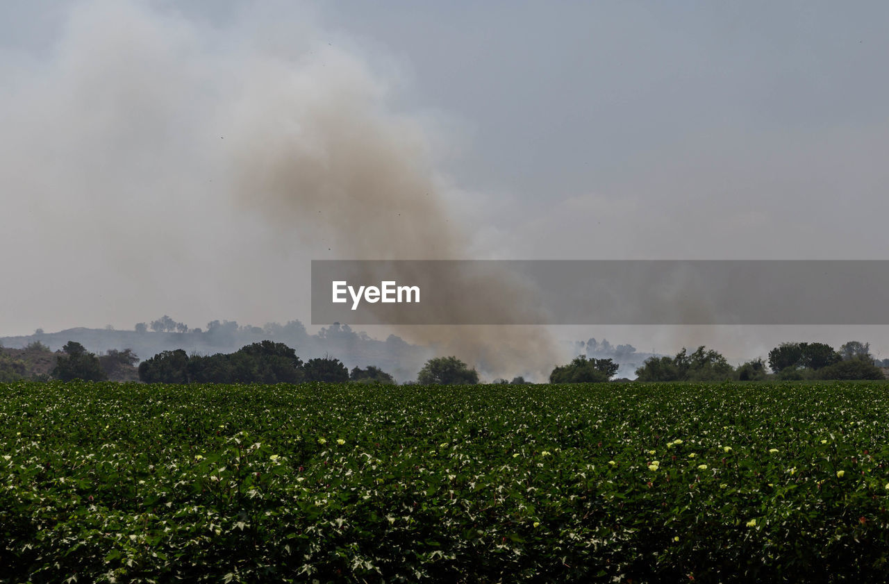 SCENIC VIEW OF FARM AGAINST SKY